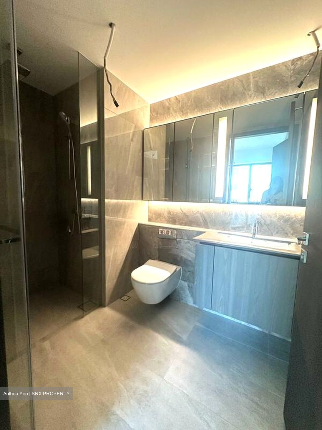 Piccadilly Grand (D8), Apartment #497594991